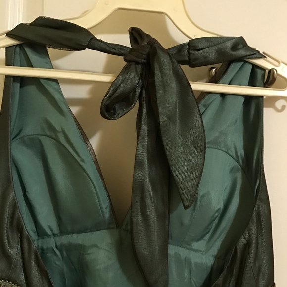 Adrianna Papell | Beaded Gold Green Tulle Dress - Picture 10 of 13